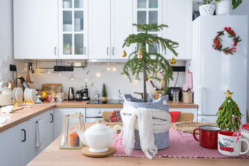 Festive Christmas decor in white kitchen, festive breakfast, white scandi interior. Araucaria as a Christmas tree is decorated and wrapped in a scarf and felt planters. New Year, mood, cozy home
