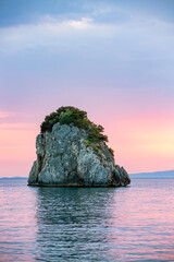 Naklejka premium rock in the sea