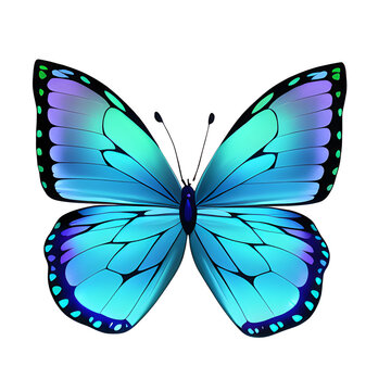 butterfly in blue and purple gradient color isolated on white or transparent background