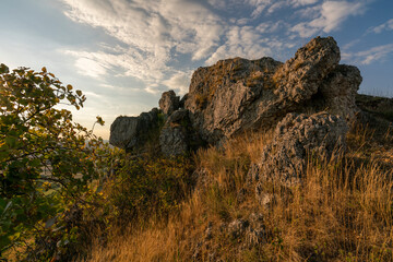 Dolomitfelsen am Tafelberg Ehrenbürg oder das „Walberla“,Naturpark Fränkische Schweiz, Landkreis Forchheim, Oberfranken, Franken, Bayern, Deutschland.