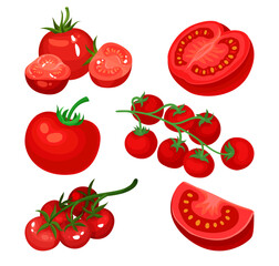 Red Tomato Ripe Vegetable as Organic Food Vector Set
