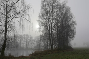 Landschaft mit See im Nebel, Bayern, Deutschland, Europa