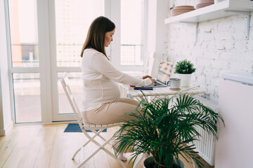 Focused pregnant woman working on computer remotely
