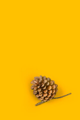 Una piña de abeto sobre un fondo amarillo liso y aislado. Vista superior y de cerca. Copy space....