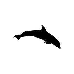 Dolphin icon. Simple style dolphin show poster background symbol. Dolphin brand logo design element. Dolphin t-shirt printing. vector for sticker.
