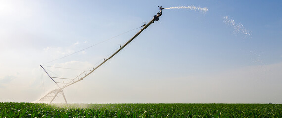 Agricultural irrigation system watering corn field in summer	