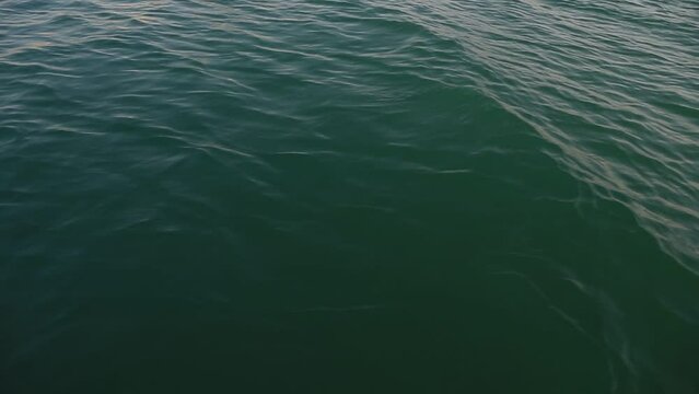 Clear sea water in Abu Dhabi, view from the boat