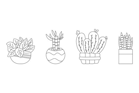 Potted of air filtering plant collection hand drawn vector by black thin line set collection illustration.