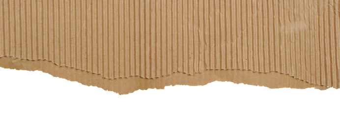 teared cardboard paper, isolated