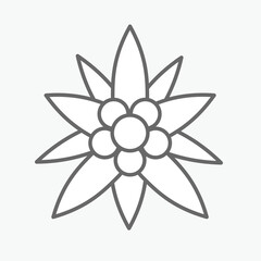 edelweiss flower symbol alpinism alps germany swiss austria logo - 551583636