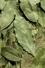 Dried bay leaves. Green background