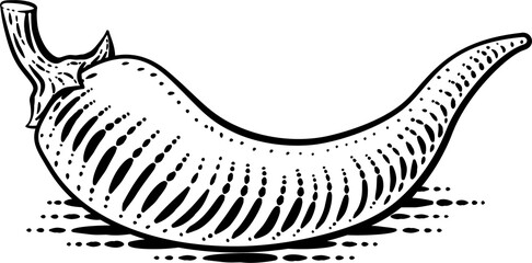 Pepper Vegetable Vintage Woodcut Illustration