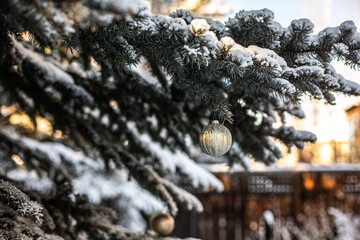 Christmas ornament in the snowy fur tree branches, snow covered