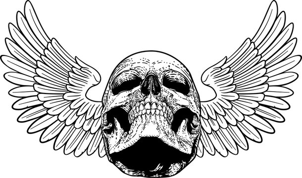Winged Skull Vintage Woodcut Illustration