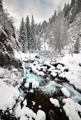 Landscape of beautiful snow mountain river blue water and spruce trees