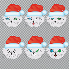 Emotions of a white cat in a Santa Claus hat