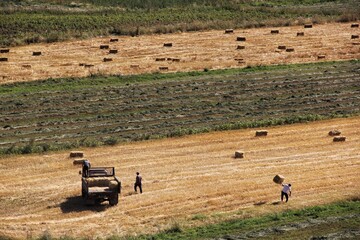 Rural Life in Kyrgyzstan: Workers in the Fields Amidst Scenic Beauty