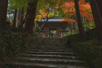 滋賀 百済寺 参道の秋景色