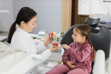 Obraz na płótnie Canvas Happy smiling asian female dentist tells little child girl how to brush the teeth on artificial jaw model. Caries prevention, pediatric dentistry, milk teeth hygiene concept.