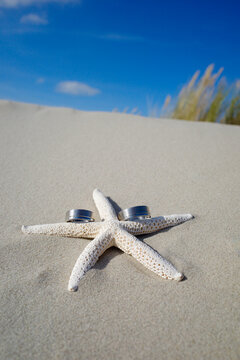 Vertical image of starfish with wedding rings on the beach. Summert wedding invitation or background.