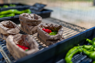 Little bags of peppers