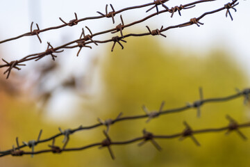 Barbed metal wire close-up with blurry greenery background. Border protection fence, forbidden entry