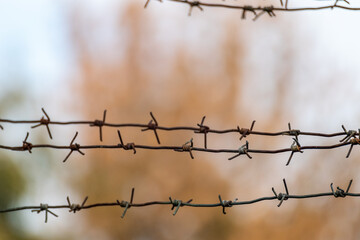 Barbed metal wire close-up with blurry autumn background. Border protection barbwire fence,...