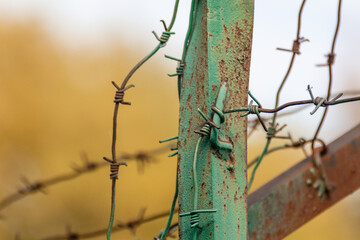 Green metal rusty fence with barbed wire, close-up with blurry background. Protection barbwire