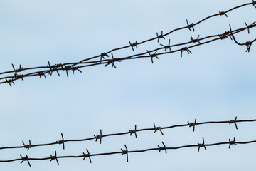 Barbed metal wire on gray background. Border protection fence, forbidden entry
