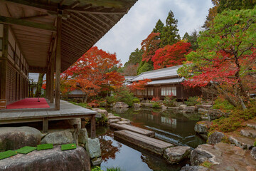 滋賀 百済寺 本坊庭園の秋景色