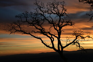 Fototapeta premium sunset in the mountains