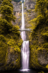 waterfall in the forest