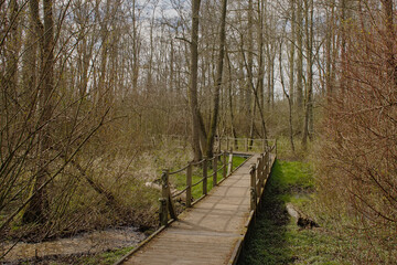 Wood walkway in the forest in Parkbos nature reserve in Ghent, Flanders, Belgium