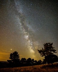 sunset in the forest