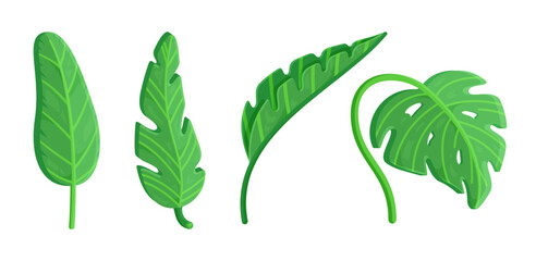 A set of tropical leaves. Vector illustration of volumetric drawings of leaves. Leaves falling from trees.