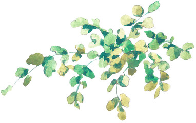 Watercolor leaf transparent png