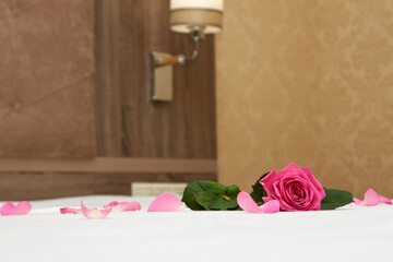 Fragrant delightful flower of pink fuchsia color as a compliment from the hotel for the birthday...