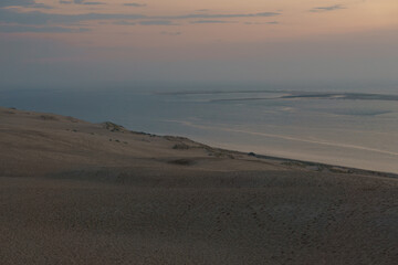 Fototapeta na wymiar lone grass in front of sea on dune du Pilat, the biggest sand dune in Europe during the twilight of the sunset Arcachon, Nouvelle-Aquitaine, France