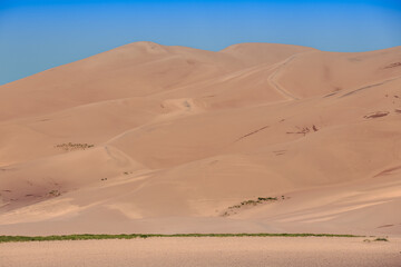 Expanse of the Dunes, Great Sand Dunes National Park, Colorado