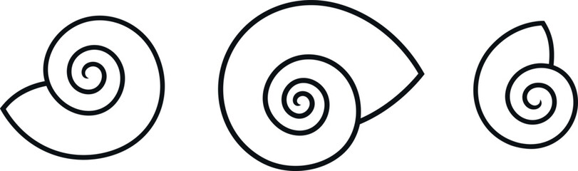 Grape snail shell. Isolated snail shell on white background © oleg7799