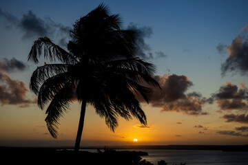 Naklejka na ściany i meble Tropical sunset. Silhouette of coconut trees backlit.