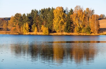 autumn view of pond and colorful autumnal forest