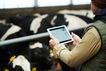 Close-up of young male worker of livestock farm with digital tablet standing in front of cowshed...