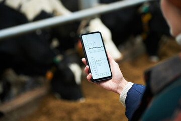 Hand of young female owner of modern cowfarm holding mobile phone with graphic data on screen and...