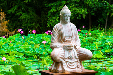 Buddha and the pond of sacred lotus