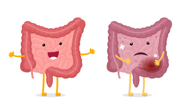 Intestines characters healthy and unhealthy comparison. Human intestine mascot good and bad condition. Cartoon gut smiling and illness sad. Bowel strong and damaged. Digestive internal organ. Vector