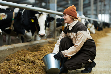 Happy young female worker of cowfarm with bucket feeding cattle while sitting on squats in front of...