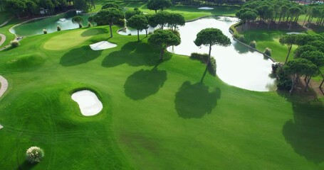 Aerial view of Golf course. Pond with small fountain located on a green golf course and tall trees casting an elegant shadow on a sunny summer day. 