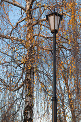 street lamp on the background of autumn tree