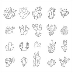 Set of cactus, Hand drawn illustration, line drawing